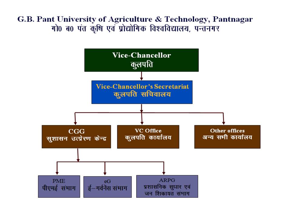 VCS_flowchart