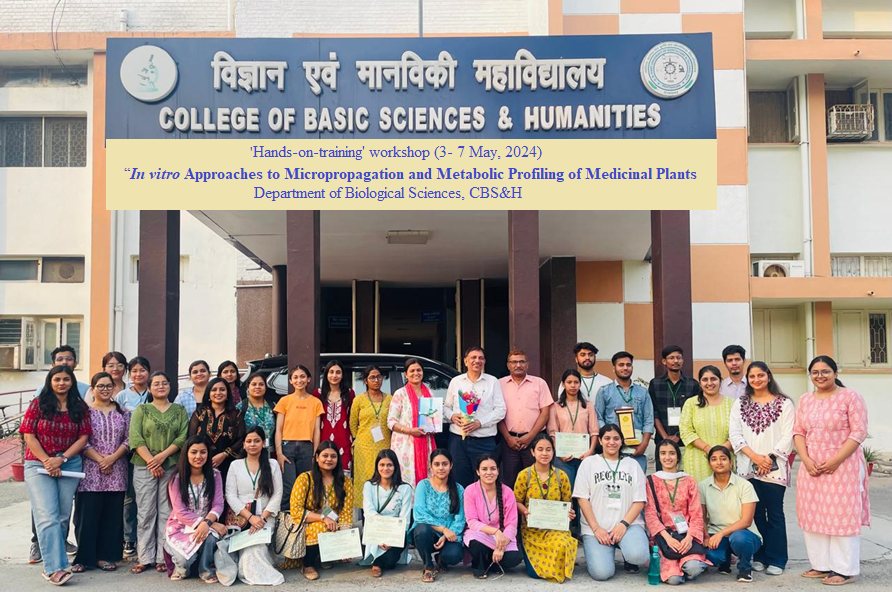 Hands-on-training workshop, 2024