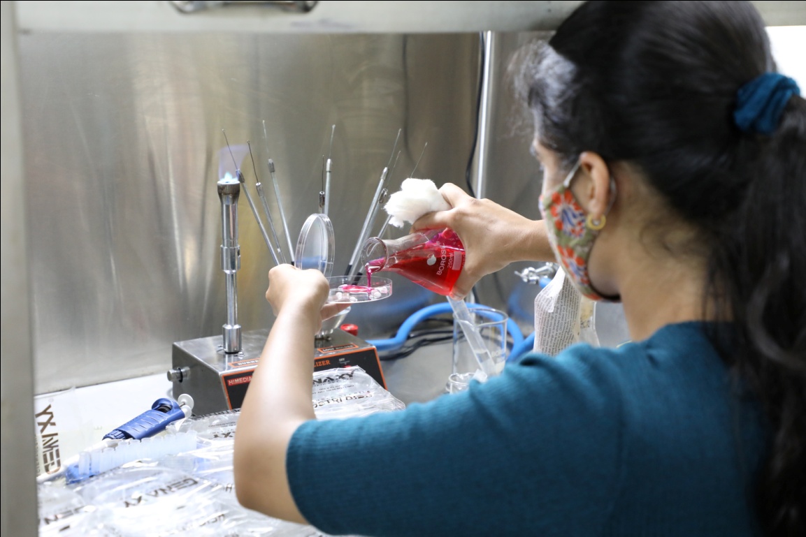 Students working in Microbiology Laboratory