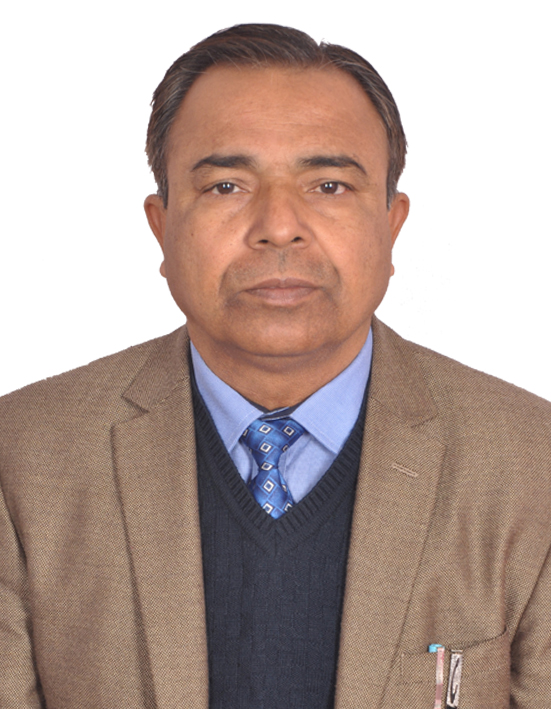 Dr. Manoj Raghav, Head