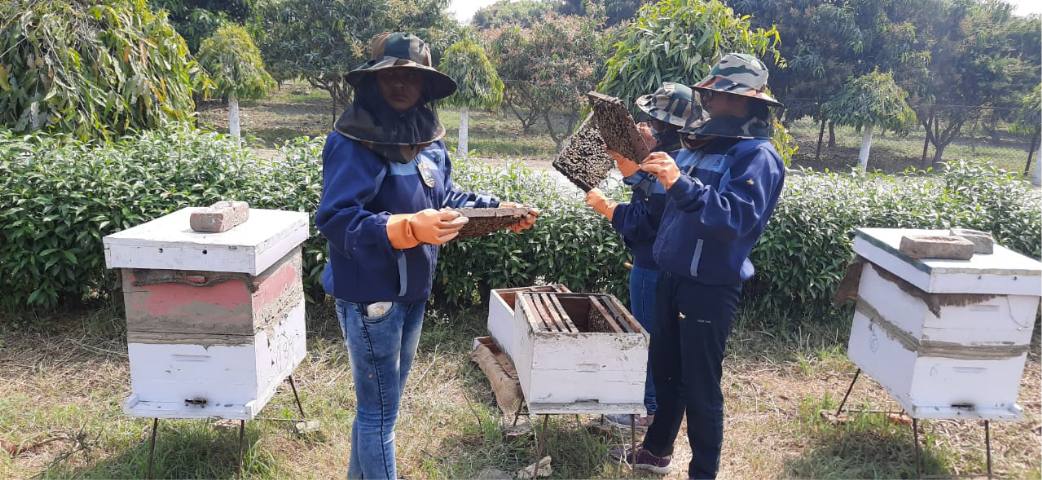 Beekeeping activities