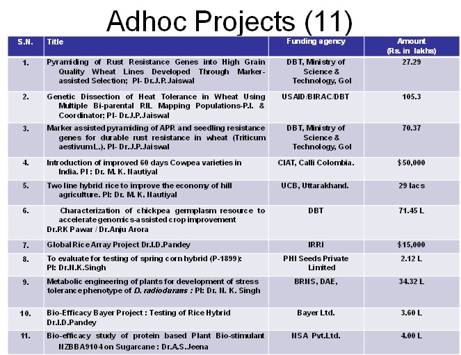 Research projects of the department